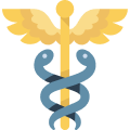 Caduceus Caduceus